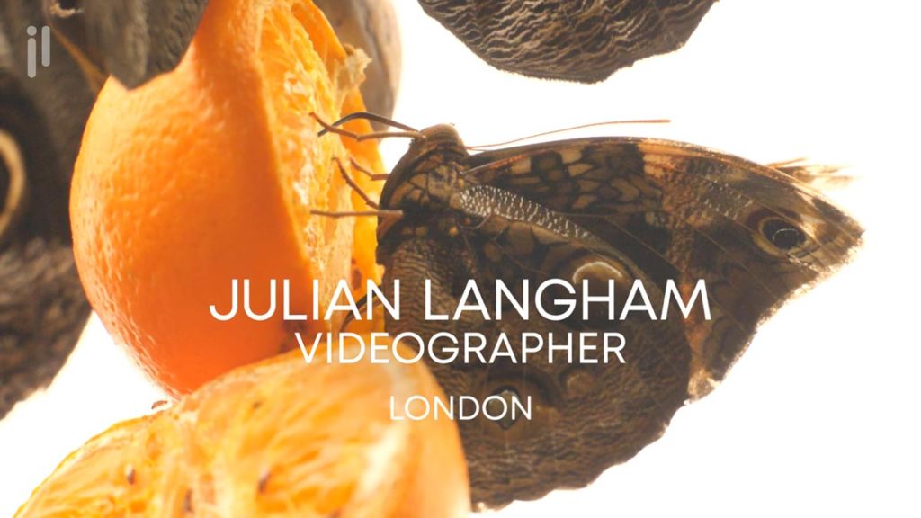 Videography showreel showing a butterfly drinking and orange