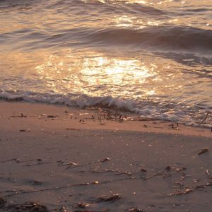 Dawn sandy shoreline 1